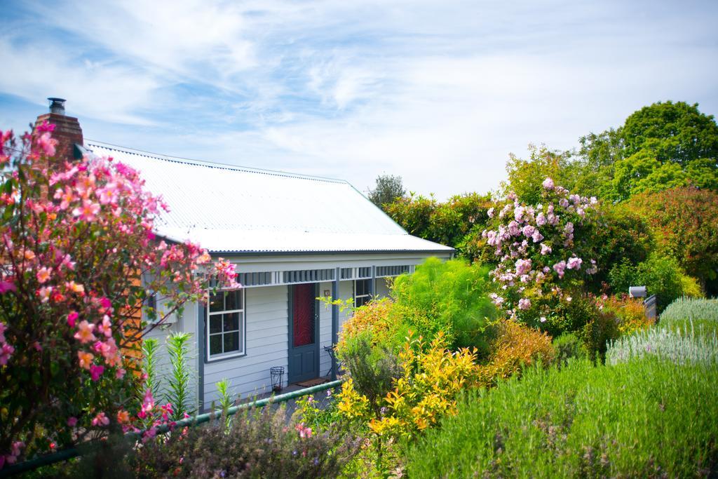 Fortuna Cottage Daylesford Zewnętrze zdjęcie
